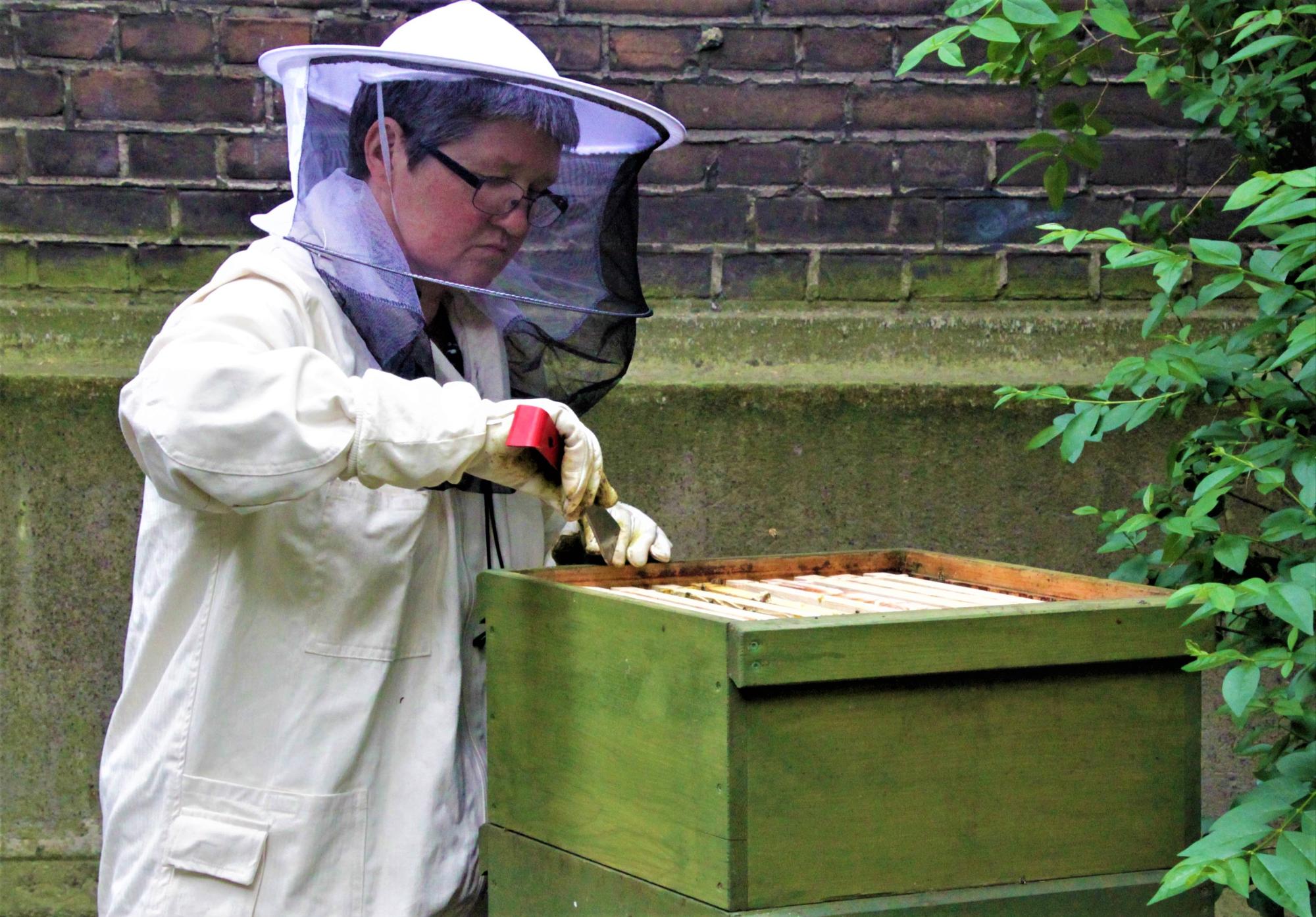 MMS Bee Keeper in Petershof, Duisburg