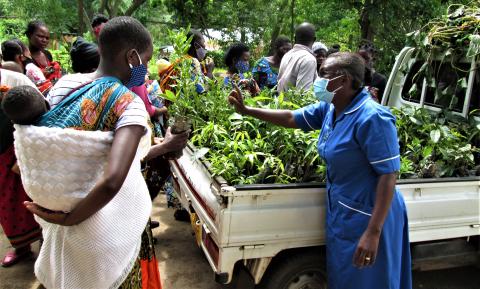 Distributing trees for families to plant at home