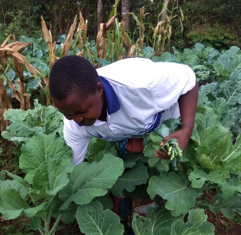 Sister Lilian in the garden at Tororo