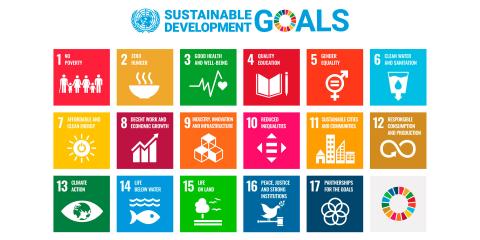 Sustainable Development Goals (SDGs)