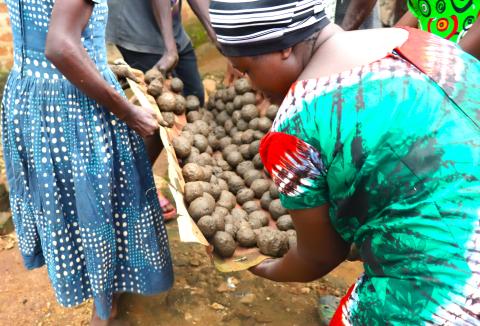 Handmade briquettes