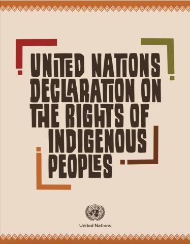 UN Declaration on the Rights of Indigenous Peoples 