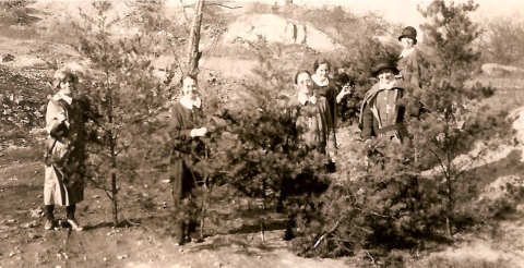 Coming home with Christmas trees, Washington DC, 1931