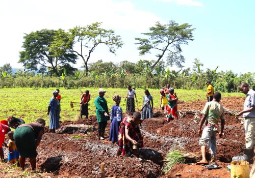 Planting in the newly dug gardens