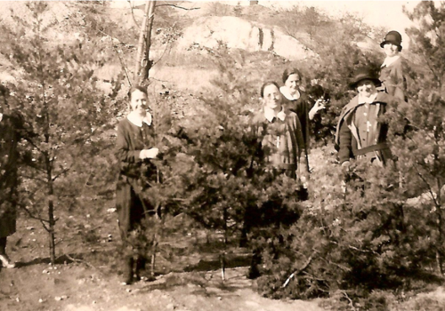 Coming home with Christmas trees, Washington DC, 1931